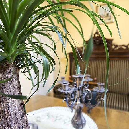 Luna Apartment Nowy Sad Zewnętrze zdjęcie