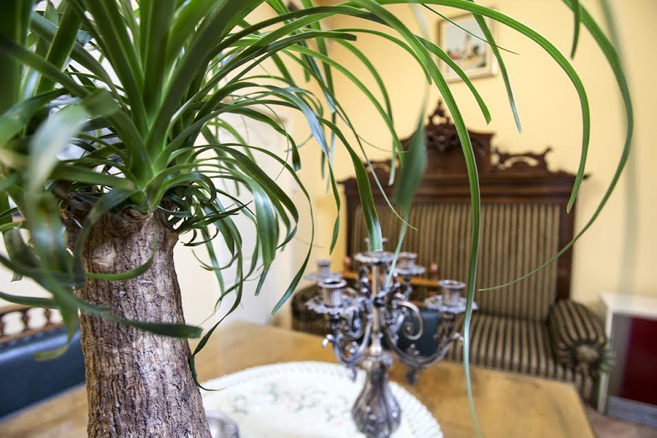 Luna Apartment Nowy Sad Zewnętrze zdjęcie